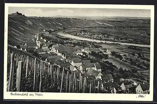 AK Escherndorf am Main, Teilansicht mit Kirche