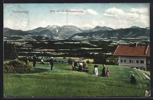 AK Warngau, Blick vom Taubenberg auf die Schlierseeberge