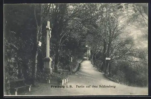 AK Freiburg i. B., Partie auf dem Schlossberg