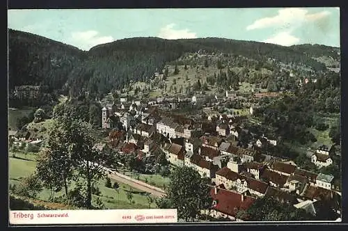 AK Triberg /Schwarzwald, Teilansicht