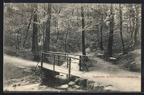 AK Suderode am Harz, Partie im Kalten Tal