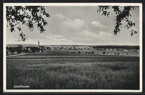 AK Waldhausen, Ortsansicht aus der Ferne