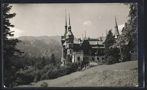 AK Sinaia, Castelul Peles