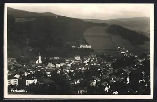 AK Freiwaldau, Ortsansicht aus der Vogelschau