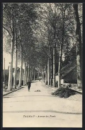 AK Talmay, Avenue des Ponts avec arbres et piéton