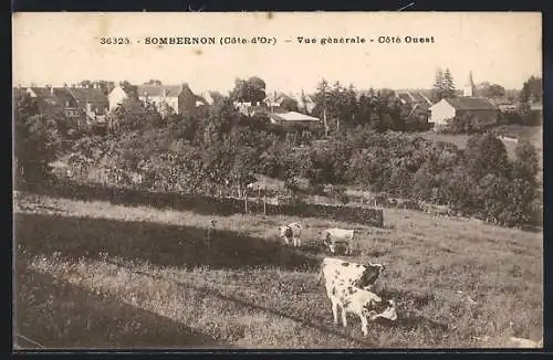 AK Sombernon, Vue générale côté ouest avec des vaches dans un champ