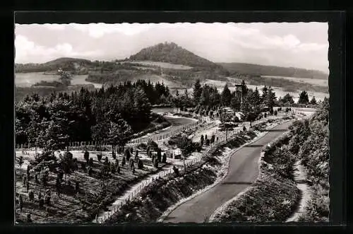 AK Der Nürburgring mit Karussel und Nürburg