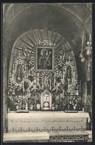 AK Wien, Altar i d. St. Antoniuskapelle b. d. P. P. Minoriten, Alserstrasse