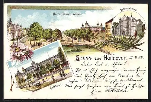 Lithographie Hannover, Palmenhaus, Parkhaus, Herrenhäuser Allee