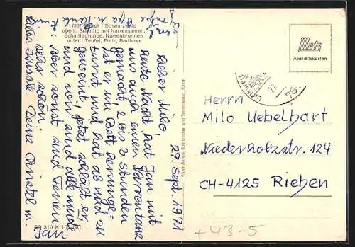 AK Elzach /Schwarzwald, Elzacher Schurtig, Strassenumzug, Fasching