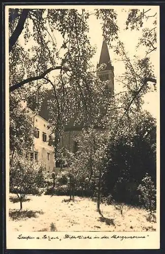 AK Laufen a. Salzach, Stiftskirche in der Morgensonne