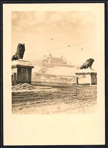 AK Würzburg, Löwenbrücke mit Festung Marienberg