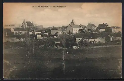 AK Ternant, Vue Générale