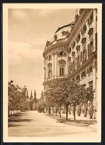 AK Würzburg, Residenz, Partie im Hofgarten