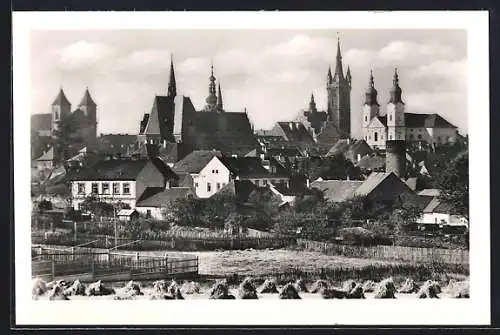 AK Klatovy, Panorama