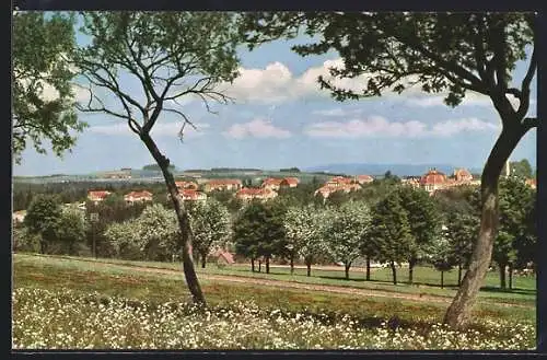 AK Neustadt / Waldnaab, Blick zum Ort