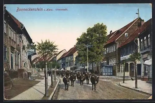 AK Benneckenstein i. Harz, Kühe beim Abtrieb in der Oberstadt