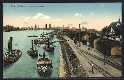 AK Ludwigshafen a. Rh., Blick von der Rheinbrücke auf die Dampferanlegestelle