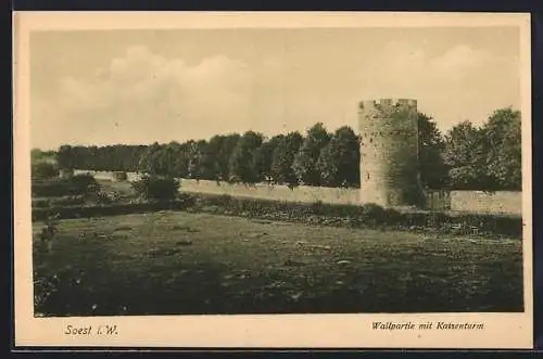 AK Soest i. W., Wallpartie mit Katzenturm