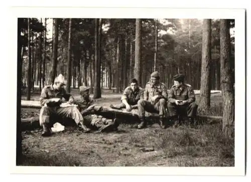 22 Fotografien Bundeswehr, Soldaten in Uniform beim Biwakieren im Wald, Rasten und Ruhen, Soldatenleben