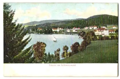 Relief-AK Titisee /Schwarzwald, Blick auf den See