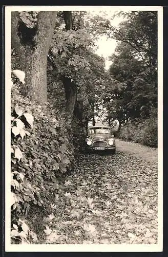 Foto-AK Auto Audi 1000, der PKW am Strassenrand