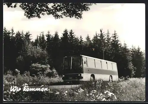 AK Ikarus-Bus am Waldrand