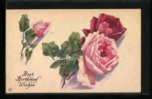 Künstler-AK Catharina Klein: Zwei rosa und eine rote Rose mit Knospen, Geburtstagsgruss