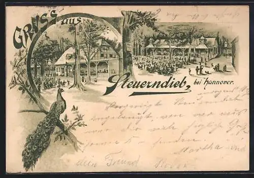 Lithographie Hannover, Das Gasthaus Steuerndieb mit Gartenbereich