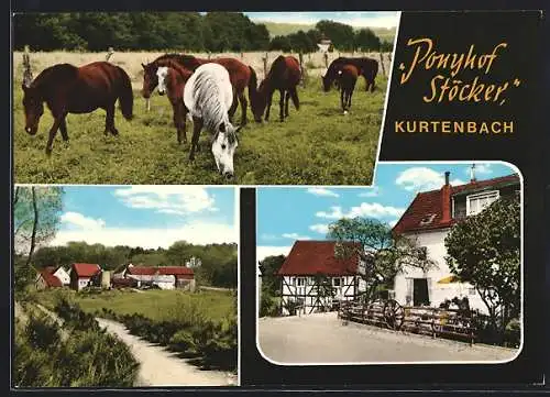 AK Kurtenbach b. Marienberghausen, Ponyhof Stöcker, Pension