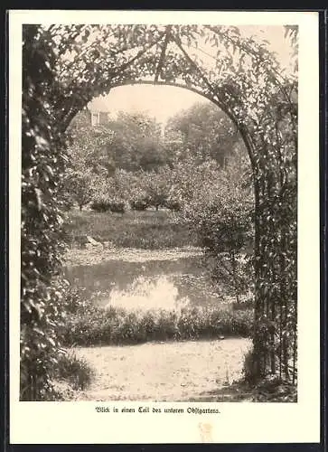 AK Berlin-Steglitz, Teil des unteren Obstgartens der Lehr- und Forschungsanstalt für Gartenbau