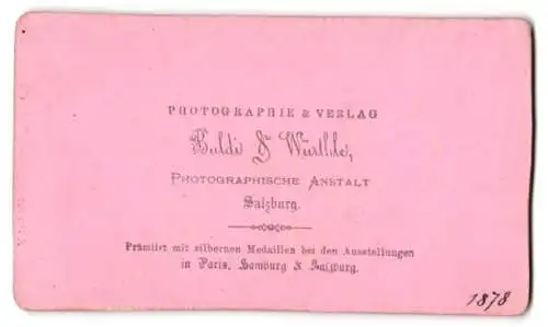 Fotografie Baldi & Würthle, Salzburg, Ansicht Altaussee, Blick gegen den Dachstein, 1878