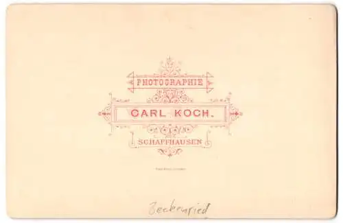 Fotografie Carl Koch, Schaffhausen, Ansicht Beckenried, Hotel am Bergfuss