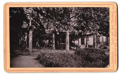 Fotografie Atelier Schröder, Annaberg i. E., Ansicht Annaberg, Linde auf dem Friedhof