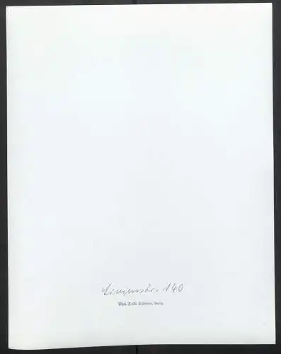 Fotografie J. M. Schimmel, Berlin, Ansicht Berlin, Hinterhof Eingang in der Linienstrasse 140, Grossformat 24 x 30cm