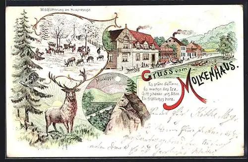 Lithographie Bad Harzburg, Gasthaus Molkenhaus, Muxklippe, Hirsch