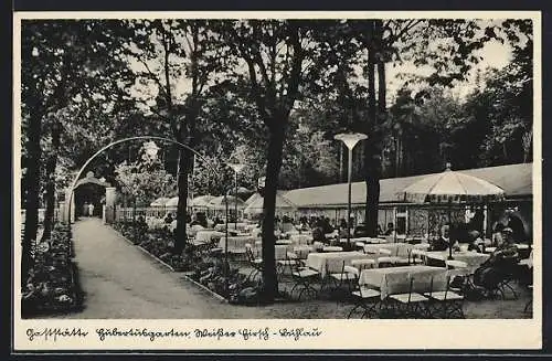 AK Dresden-Bühlau, Gaststätte Hubertusgarten H. Brückner, Gartenansicht