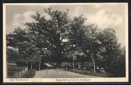 AK Bad Brückenau, Tausendjährige Eiche im Schlosspark