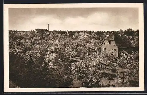 AK Oranienburg-Eden, Gemeinnützige Obstbau-Siedelung Eden