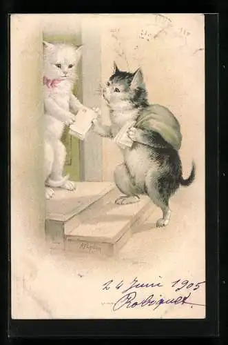 Lithographie Katzen-Briefträger stellt die Post zu, vermenschlichte Tiere