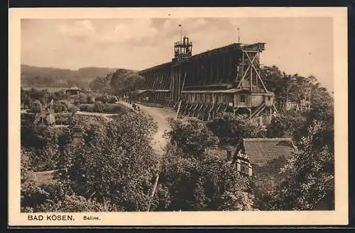 AK Bad Kösen, Saline
