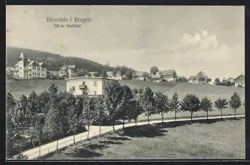 AK Bärenfels i. Erzgeb., Ortsansicht mit Allee