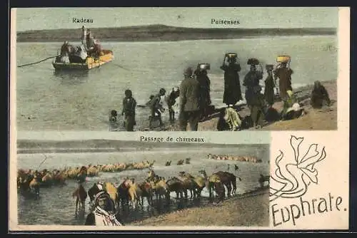 AK Euphrate, Radeau et Puiseuses, Passage de chameaux