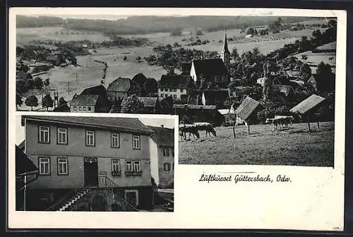 AK Güttersbach, Gasthaus zum Odenwald von Leonhard Helm, Ortsansicht