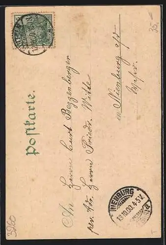Lithographie Todenmann, Gasthaus v. F. Reese, Garten mit Fontäne