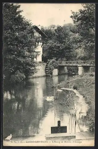 AK Cambo-les-Bains, L`Etang et Moulin d`Arnaga