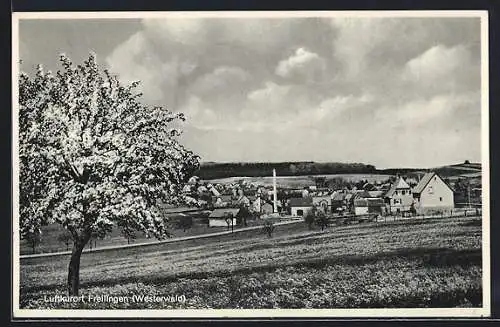 AK Freilingen / Westerwald, Stadtblick