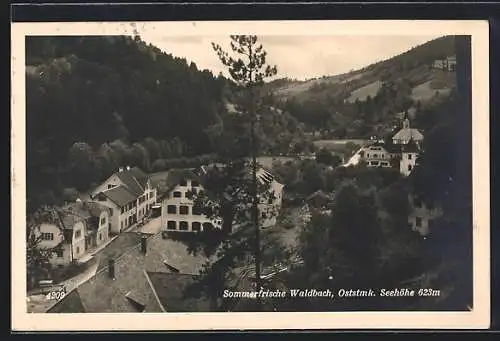 AK Waldbach /Oststmk., Strassenpartie mit Gasthof, Im Hintergrund Kirche