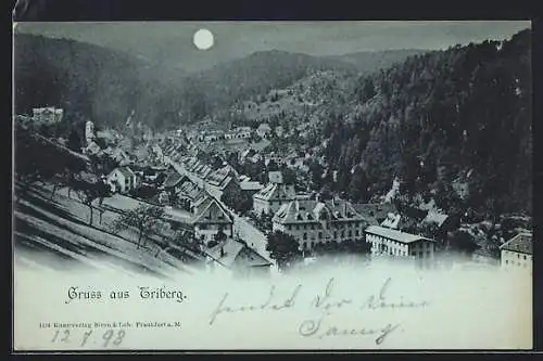 Mondschein-AK Triberg, Teilansicht mit Strassenpartie