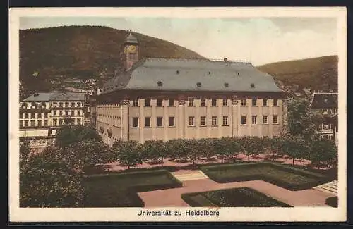 AK Heidelberg, Universität